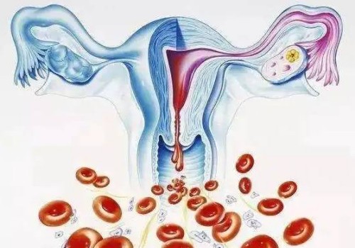 孕期牙齒問題不容忽視，情形嚴重可導致胎兒早產